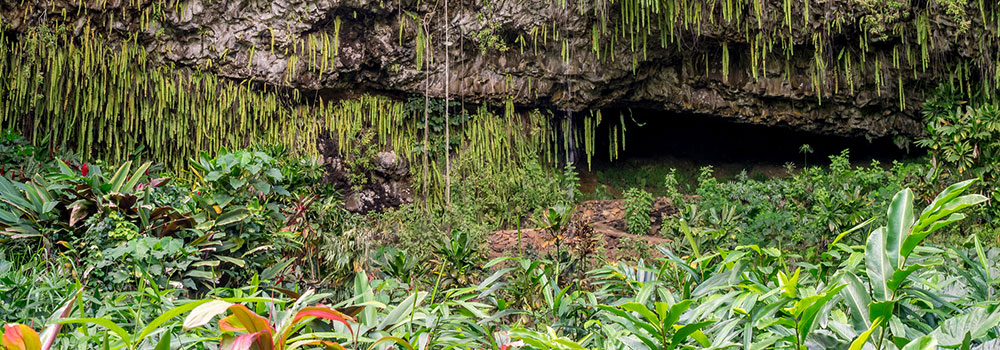 Fern Grotto | Kauai Family Activities | Oceanfront Rentals on Kauai 