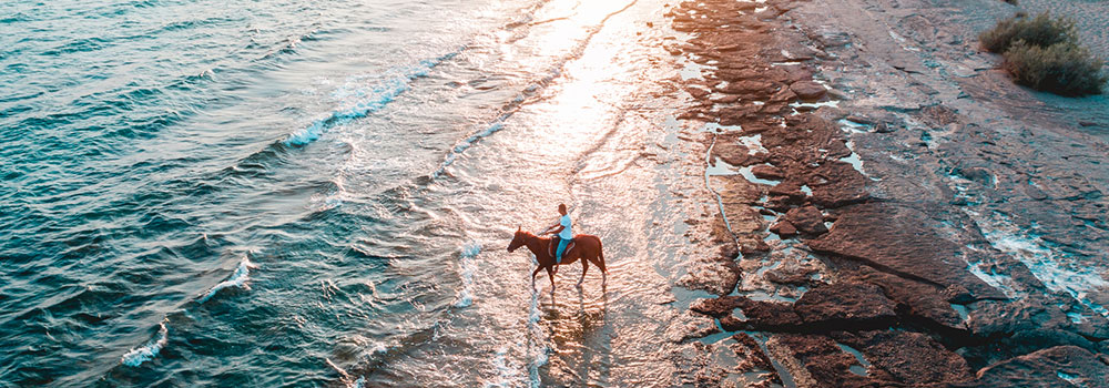 Horseback Riding On Kauai | Oceanfront Rentals on Kauai 